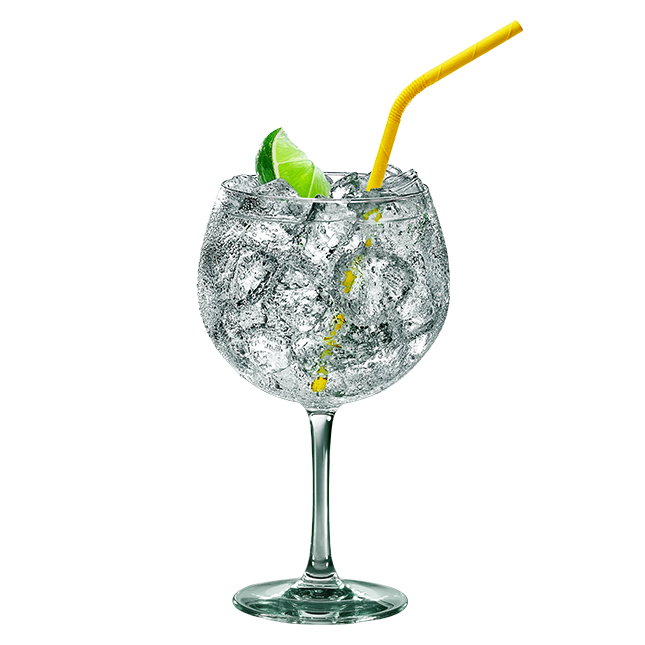 EL GIN-TONIC PERFECTO CON GORDON'S